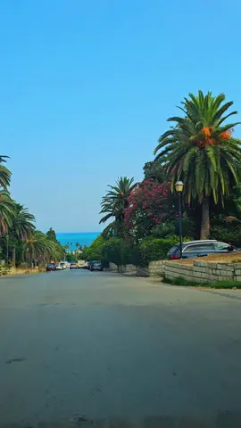 #fyp #تونس_المغرب_الجزائر #for_you #CapCut 