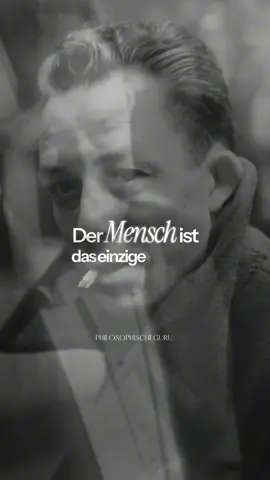 Camus und die Kunst, das Sinnlose zu bejahen #Philosophie #AlbertCamus #Existenzialismus #Lebenssinn #Selbstakzeptanz 