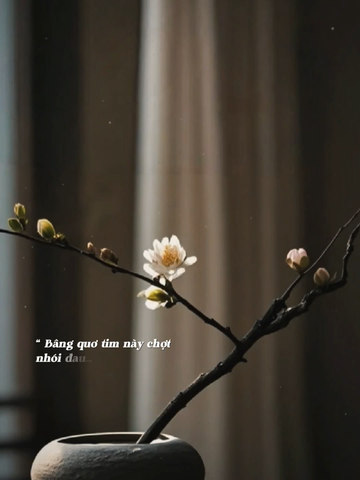 Mượn gió đêm nay làm ta say tình si khiến ta thật hồ đồ… #phongsuongtuu #nhachaymoingay 