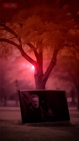 بيه ألف آه و آه وضع الطفل ما أنساه #باسم_الكربلائي #ياحسين #كربلاء_مدينة_العشق_والعاشقين #استوريات_حسينية 