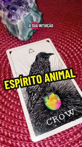 Poder transformador espiritual do corvo 🐦‍⬛ ✨ #transformação #tarotonline #cartasdotarot #corvoespiritual #intuição