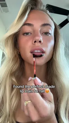 @SACHEU Beauty US #lipliner #lipstain #makeuphacks #lipcombo #lipgloss 