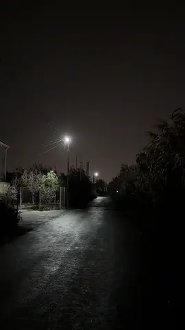 İnsan nə qədər özünü güclü göstərib “heç kimsəyə ehtiyacım yoxdur” desə də, ruhunun dərinliyində bəzən bir əl axtarır—güvənib yaslana biləcəyi, bütün sirlərini, qorxularını və arzularını paylaşa biləcəyi bir ürək. Həmin ürək sədaqətli olur, heç bir şərt tələb etmədən yanında dayanır, həyatın çətinliklərini yüngülləşdirir, yalnızlıqdan doğan soyuq və boş hissi isti bir nəfəs kimi əritir. İnsan bəzən sözlərlə ifadə edə bilmədiyi yükünü o bir nəfərlə paylaşanda, hər baxışı, hər toxunuşu və hər gülümsəməsi ona həyatın ən sadə amma ən dəyərli xoşbəxtliyini verir. Sən onun yanında olduğunda, dünya sanki daha az ağırdır, qorxular daha kiçik, ümidlər daha parlaq olur; və insan anlayır ki, bəzən ən böyük güc, heç kimsəyə ehtiyacım yoxdur deməkdə deyil, düzgün birinə etibar edə bilməkdə gizlidir.