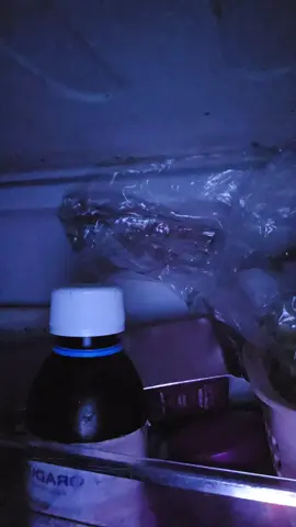 #شعب_الصيني_ماله_حل😂😂 #متابعه_ولايك_واكسبلور_احبكم #بغداد_بصرة_موصل_الكويت_الخليج_دبي #جديده_في_تيك_توك #💖لايك_💖كومنت_💖اكسبلور 