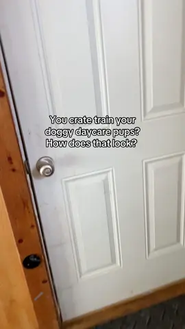 Dog daycare with training for the most part, including Puppy preschool so crate training is essential. I also do crate training if any of the dog get overwhelmed. Crating is part of my daycare routine - we typically do one hour of crate time, 1.5 hour of playtime, 30 min of training on repeat all day. #doggydaycare #dogtrainer #dogkennel #creeksidecanine606 #dogs 