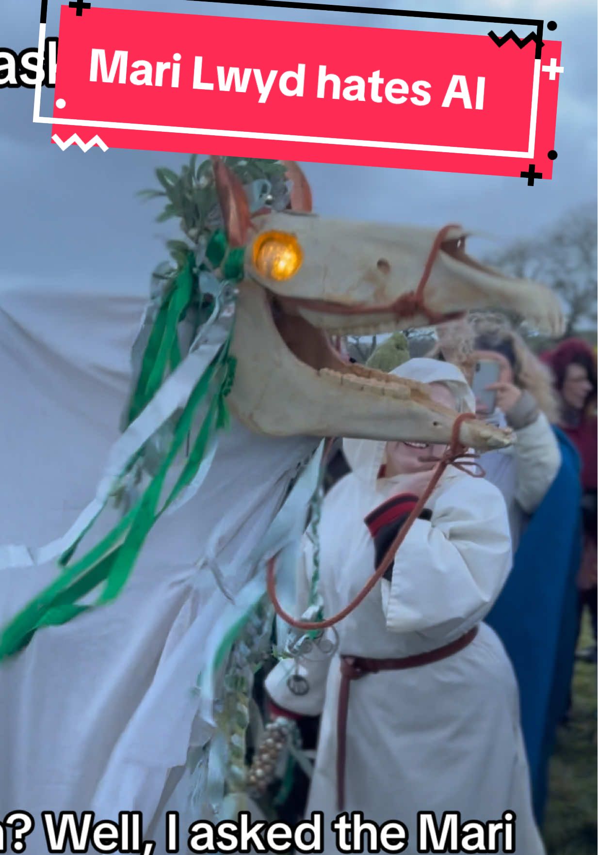 Mari isn’t a fan of these AI / LLM things. Just sing a song or give her beer for goodness sakes!! #marilwyd #welshfolklore #welshwitchcraft #welshwitchtok #witchtok 