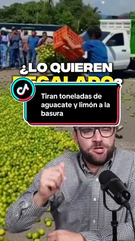 ¡Tiran aguacates y limones en protesta por los bajos precios! 🍋🥑 Escenas impactantes en Michoacán. 📢 Productores de limón y aguacate de Apatzingán, Uruapan, Peribán y Tancítaro protagonizaron una fuerte protesta al tirar toneladas de aguacates y limones como reclamo ante los bajos precios que reciben por su cosecha. “¡Lo quieren regalado, ahí está!”, gritaron los agricultores, denunciando que es mejor tirar los aguacates y limones que malbaratar su trabajo por los precios injustos que enfrentan. El campo mexicano se hace escuchar: junto a los productores de limón y aguacate, también se sumaron agricultores de berries, jitomate y otras hortalizas de diversas regiones de Michoacán y otros estados. #Protesta #CampoMexicano #BajosPrecios #Limón #Aguacate  