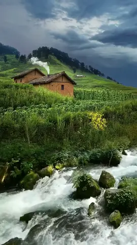 اجمل المناظر الطبيعيه الخلابه منظر طبيعي 4k للقرآن فيديوهات مناظر طبيعية وحقيقية 4k فيديوهات مناظر طبيعية للتصميم قرآن  #creatorsearchinsights مناظر طبيعية جودة عالية للحالات تصميم اجمل تصميم فيديوهات عن الهيبة والرجولة خلفيات فيديو للتصميم جاهزة