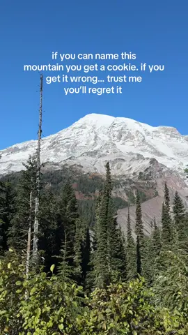 hint: we offer day trips to hike it 🤔 🏔️ #traveltiktok #traveltok #travel 
