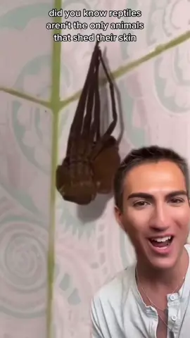 What is that man😭😭😭 #fypシ゚ #amzzzzz9v2 #amz #viral #funny 