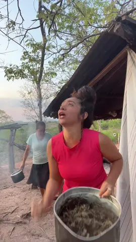 Você é benção viu 