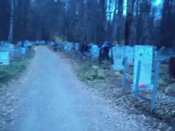 мечта. #real #digitalcamera #fyp 