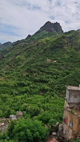 وصاب العالي 