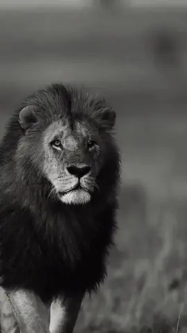 لا تتوهم بانك تعرفني فانت تعرف فقط ما اردتك ان تعرفه @motivation @💔حبيبي والزمن ضدي💔 @الشيخ طال عمره🕶️💰 #motivation #كلمات #اقوال_وحكم #اكسبلور #خواطر_ملهمة 