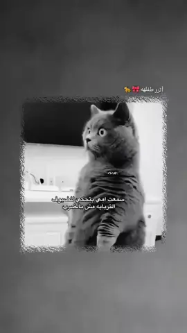 #أعادت_نشر🔁 #متابعه_ولايك_واكسبلور_احبكم #متابعه_ولايك_واكسبلور_احبكم #وهيكااا🙂🌸تابعووني🙂💔 #يعمريييييي😭🎀 