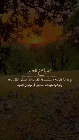 #صباح_الخير #صباحيات_جميلة 