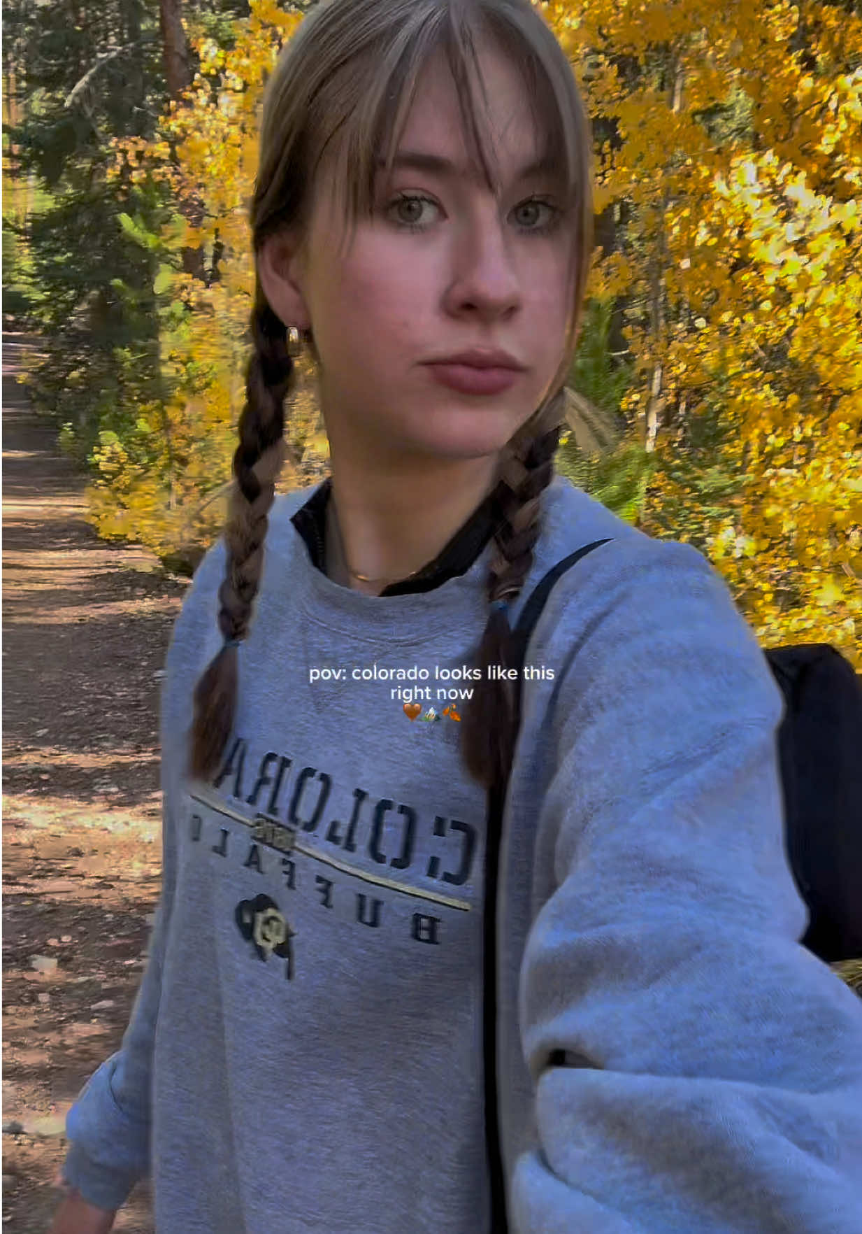 so so magical  - #fall #fallincolorado #colorado #coloradoadventures #fallcolors 