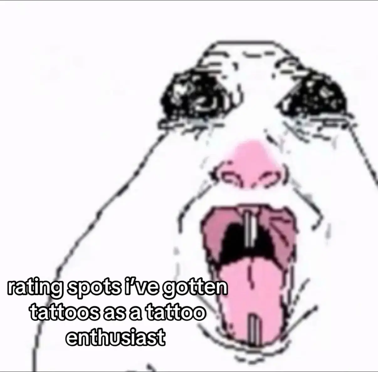 Ranking random flavors #tattoos #skulls #bear #bison 