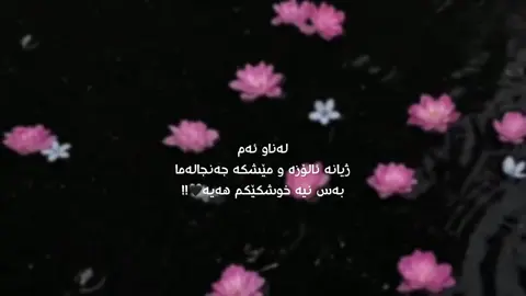 #foryou #sister #hawler_slemani_dhok_karkuk_hallabja #foryouuuuuuuuuuuuu 