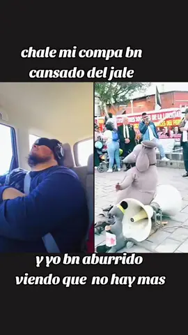 #tiktoklive #livehighlights #LIVEIncentiveProgram #GoLIVEGrowFast #PaidPartnership 