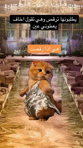 #Meme #MemeCut #اكسبلورexplore 