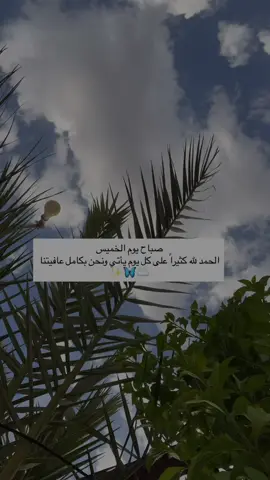 #صباح_الخير #الحمدلله_دائماً_وابداً💚🤲 #اكسبلور #بداية_يوم_جميل✨🌸🌞 