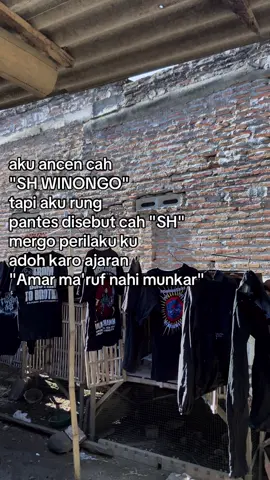 #pshw #pshw_tm_1903 #pshwprobolinggo #stkpaiton #pshwrantingpaiton 