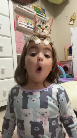 💖💖💖💖💖💖