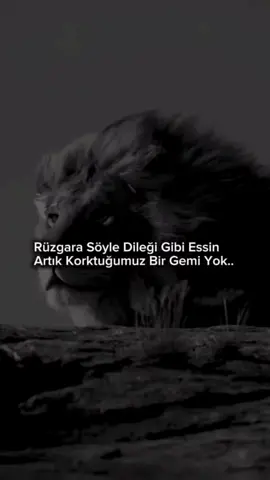 🦅🐺🦁 #yorgunbays 