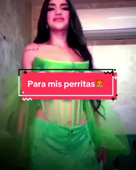 Para mis perritas 🙄🙄\\ ||#LIVEIncentiveProgram #JustGoLIVE #PaidPartnership #nomebajeslacalodadpinchetiktok #iamfervmipatrona🛐 