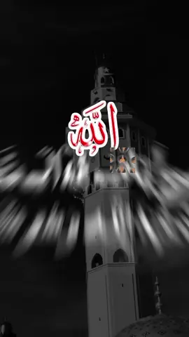#pourtoii #viraltiktok #flypシ #xassida #assirou_mahal_aberari 