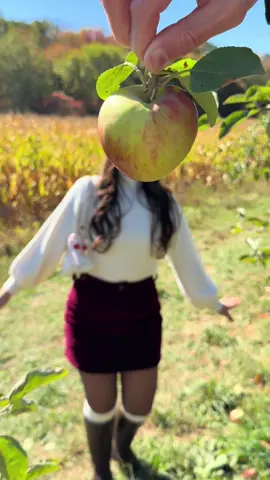 i 🤎 the apple orchard 🍎🍏 #fall #apples #falloutfits 