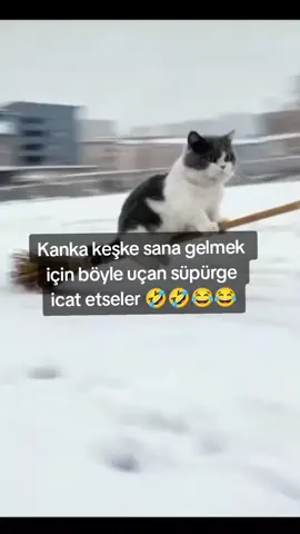 ######keşfet #####tiktok ####öneçıkar 