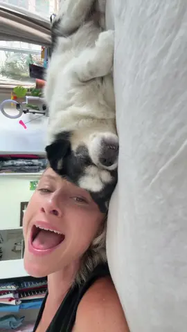 #dog 