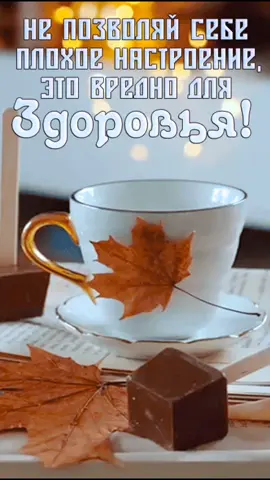#LanguageLearning #сдобрымутром #утро 