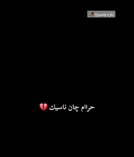 #صباح #العماري #الببخيت_بيت_غزيل #البومحمد_اخوة_باشا #العماره 
