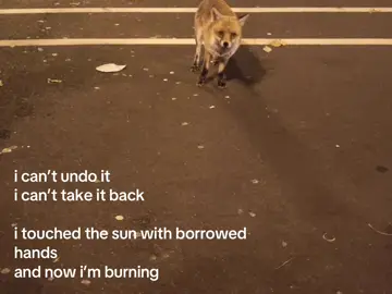 forever burning #guilt #forgotten #longing #godsquietchild  credits: tiktok, @shxmzy.exe