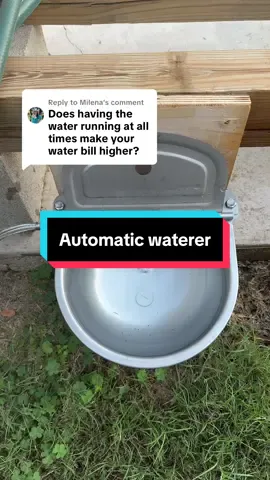 Replying to @Milena #dogsoftiktok #automaticwaterbowl #livestockwater 