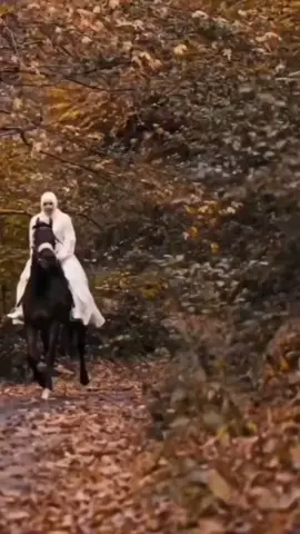 #في هذا اليوم 