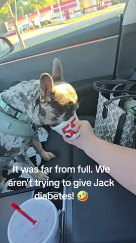 Jack's afternoon treat!! #frenchiesoftiktok #frenchbulldog #dogsoftiktok  #pupcup #Hwy55