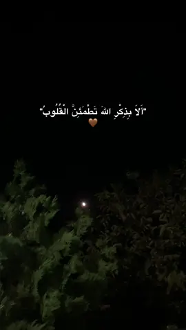 🤎...