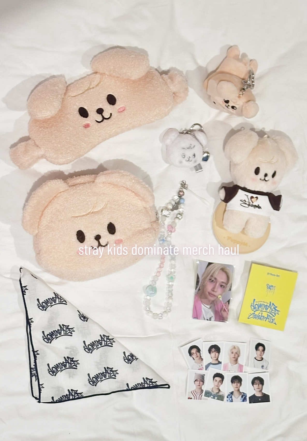 Replying to @rebecca ⋆. 𐙚 ˚ my skz dominate pop up merch haul 🤍 #fyp #straykids #dominatetour #kpopfyp #seoul #skz #스트레이키즈 