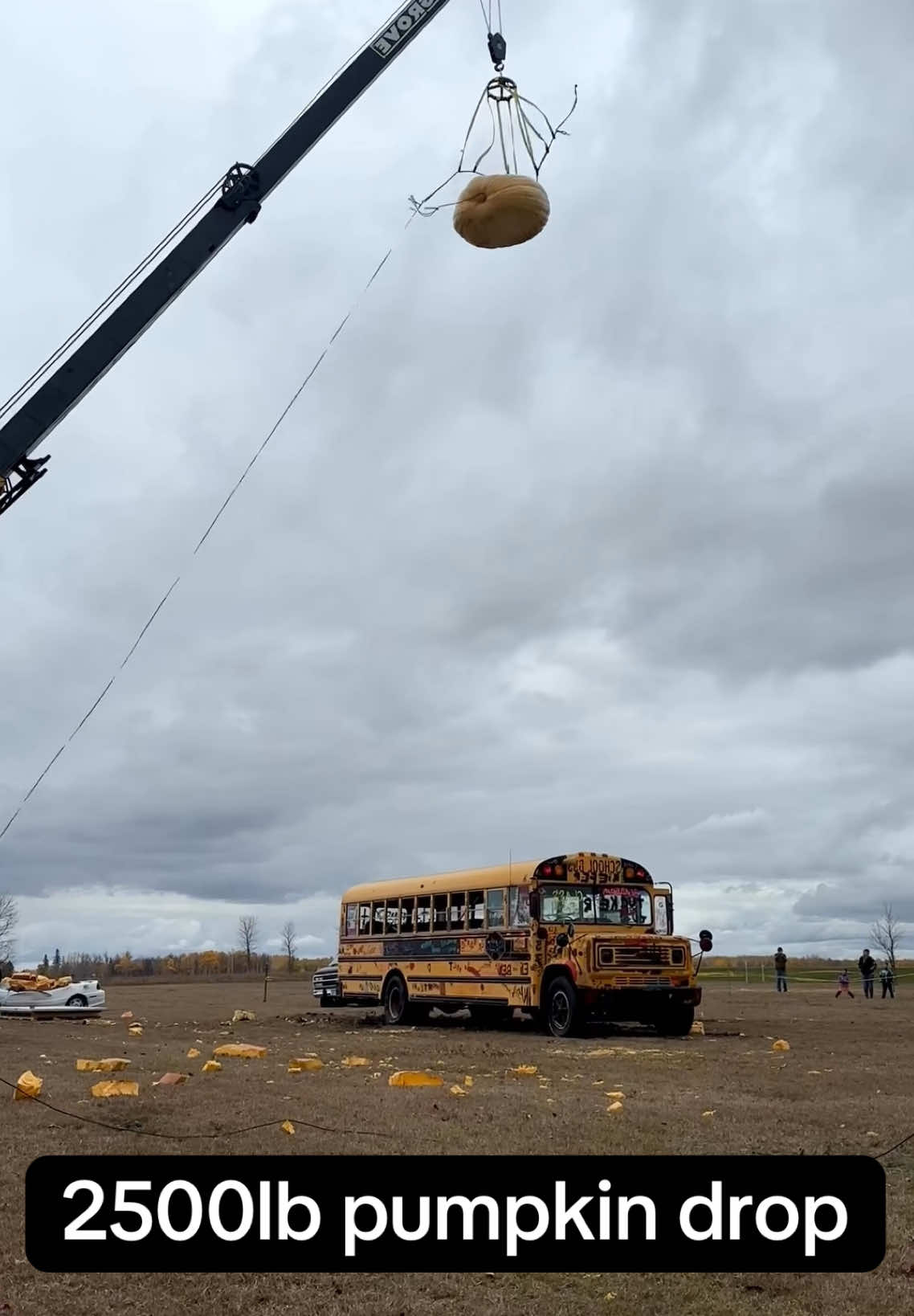 Pumpkin Drop 🎃 #pumpkindrop #pumpkin #drop #halloween #fyp 