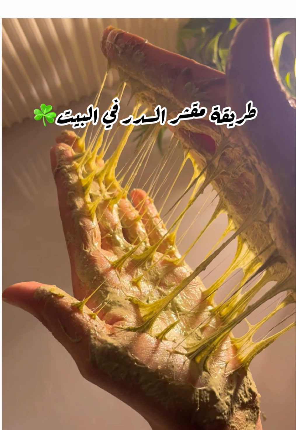 - طريقة مقشر السدر في البيت حرفيًا خطيرررررر🫙 المكونات :  سكر خشن 🍬 + عشبة السدر الاصلي ☘️ + زيت جوز الهند 🥥+ شاور چيل 🧴 لازم تجربوه نضافه ونعومة للجسم  رهيبههههههة وانتعاش وريحة السدر بتاع زوشكا مخلي المقشر تحفــــــــــــــــــــــــة يـــــارب تشمو الريحة من الفيديو 🥹💖🙈🫶🏻 #زوشكا #مقشر_السدر #جوزهند #تفتيح_الجسم #عروس               