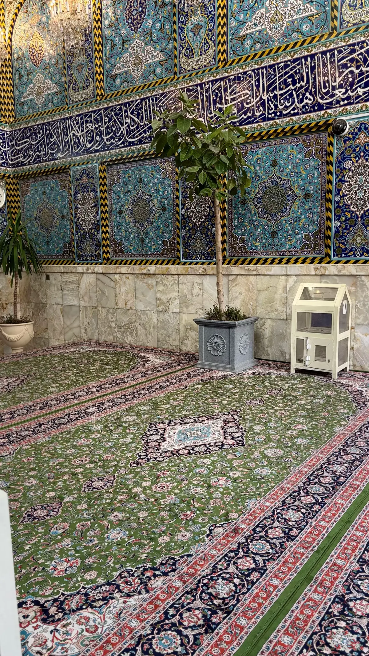 #explore #كربلاء #الشعب_الصيني_ماله_حل😂😂 #foryou 