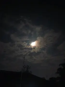 Nasihat kehidupan #ustadzadihidayat #kehidupan #nasihatkehidupan #selfreminder 