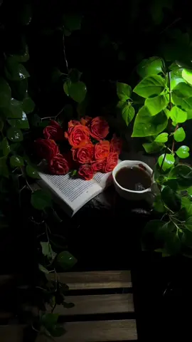 #مثلت_لي_انك_محب_وافي #حسافه 