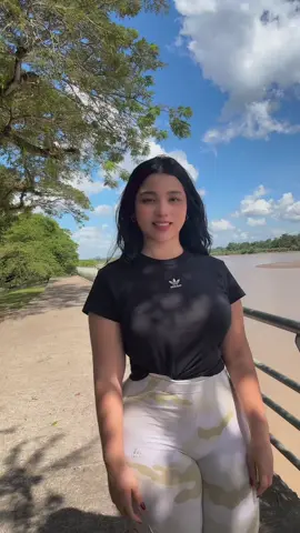 #parati 