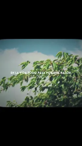 Solo Vive - Vale Montes  . . #musicacristiana #himnoscatolicos #solovive #tiktokcatolico 