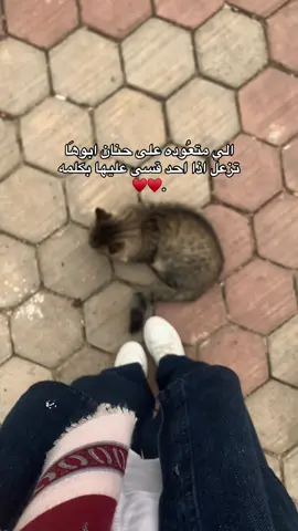 بابا حبيبي♥️ #الشعب_الصيني_ماله_حل😂😂 #البيضاء_الجبل_الاخضر #axplor #fyp #درنه #اكسبلور #مالي_خلق_احط_هاشتاقات🧢🤍 #fypage 